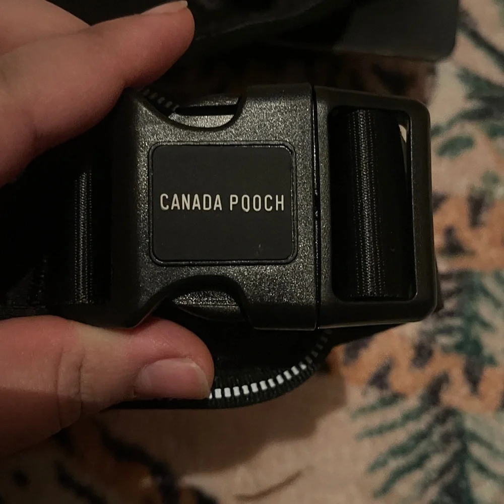 Canada Pooch Black Complete Control Dog Harness